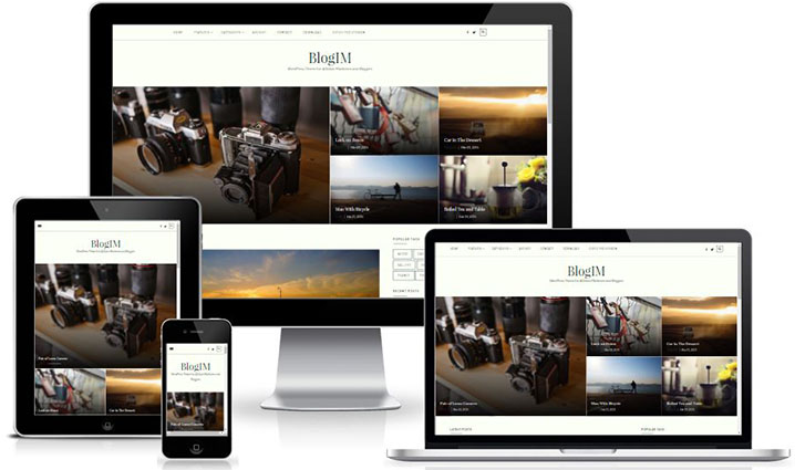 BlogIM - Free WordPress Blog Theme for Internet Marketers