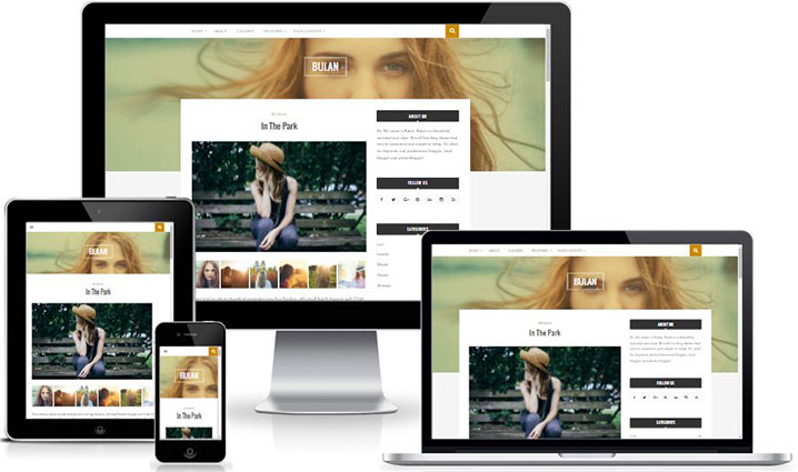 Bulan - Custom Widget Ready Free WordPress Blog Theme