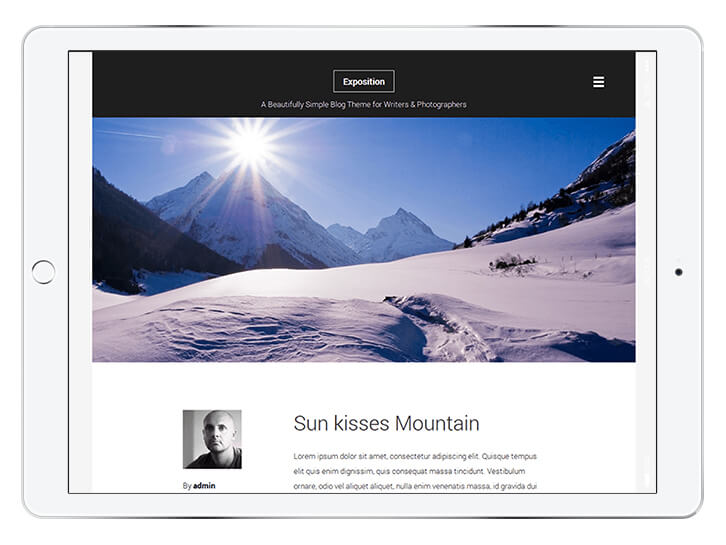 Exposition-Lite---wordpress-theme-for-a-beautiful-blog