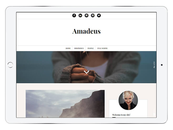 amadeus---wordpress-theme-for-a-beautiful-blog