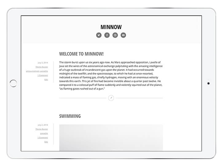 minnow---wordpress-theme-for-a-beautiful-blog