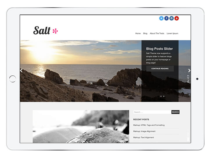 salt---wordpress-theme-for-a-beautiful-blog