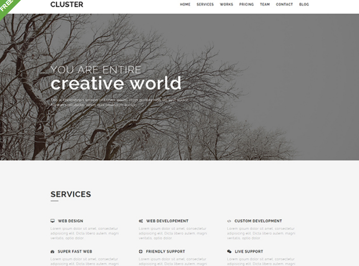 100 Best Responsive Free One Page Bootstrap Template with HTML5 of All time