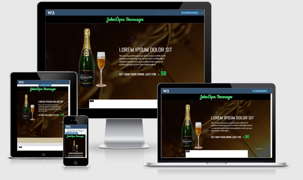 John Viper Beverage HTML5 Bootstrap based free restaurant template download