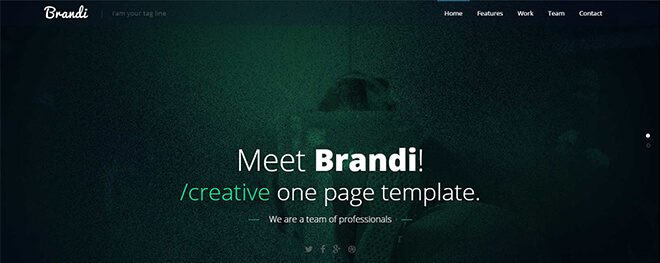 11.-Brandi business website design template
