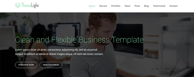 14.-Themelight business website design template