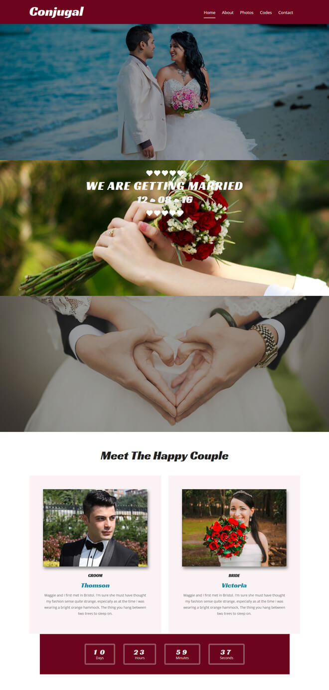 Free Event Bootstrap Template