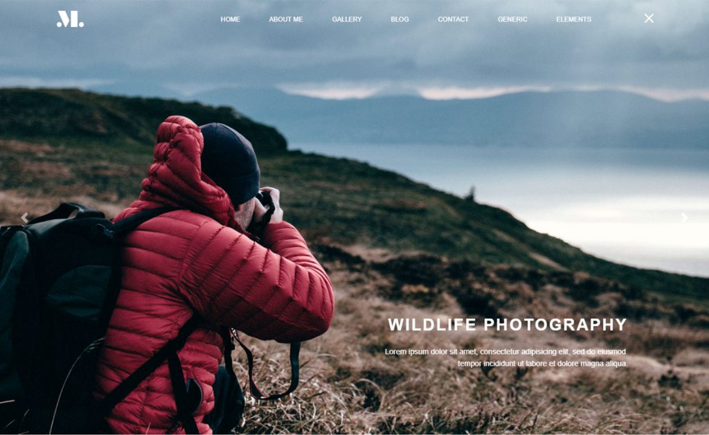 Free Photography Website Responsive Templates | ThemeWagon