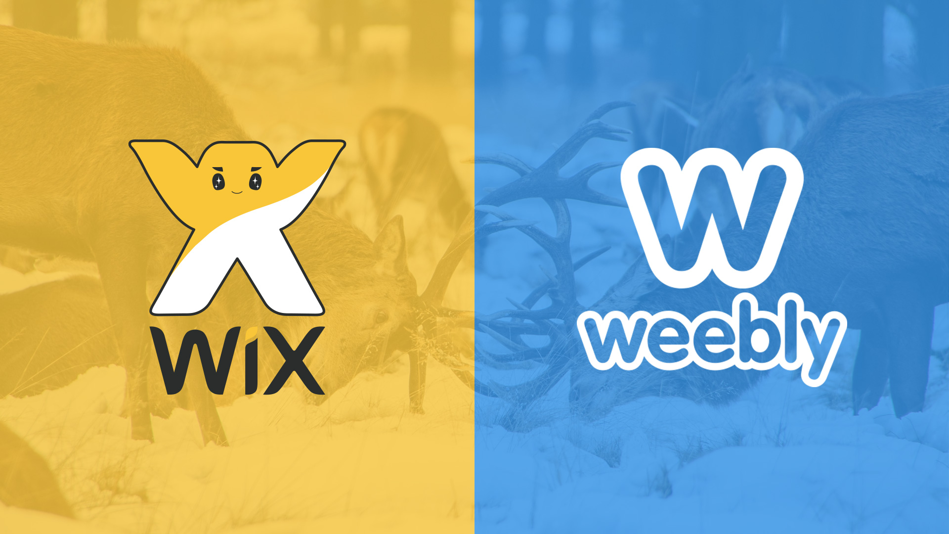 Wix vs Weebly 5 Important Differences Know