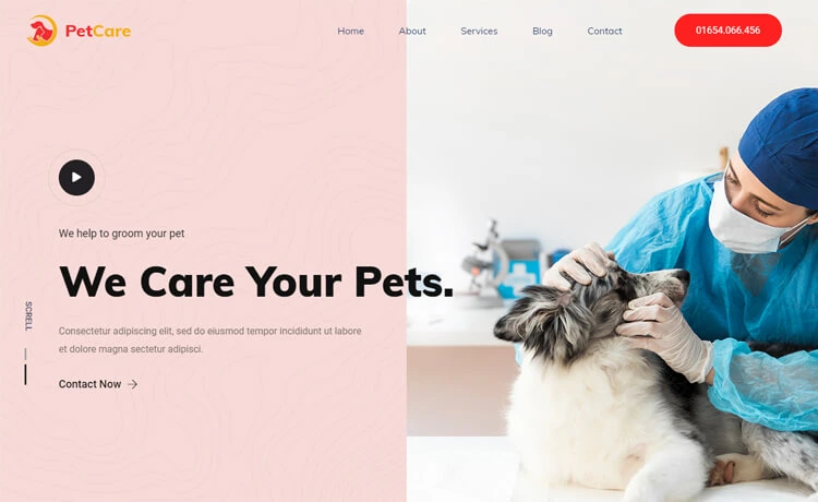 PetCare - Free Bootstrap Pet Clinic Website Template