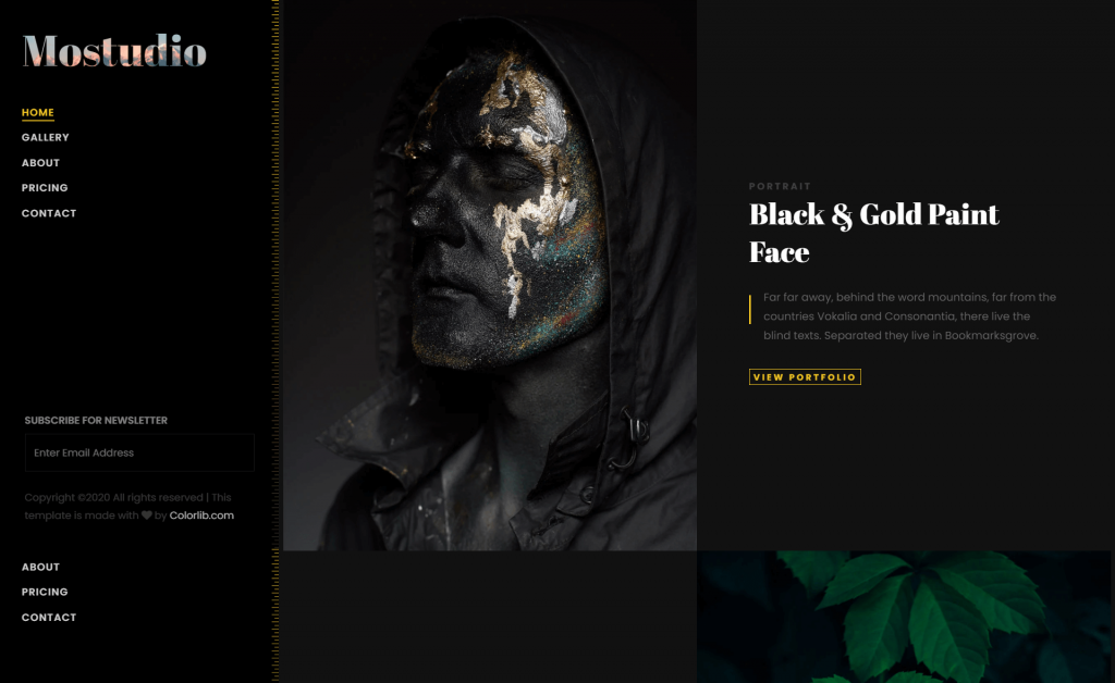 Free Photography Website Responsive Templates | ThemeWagon