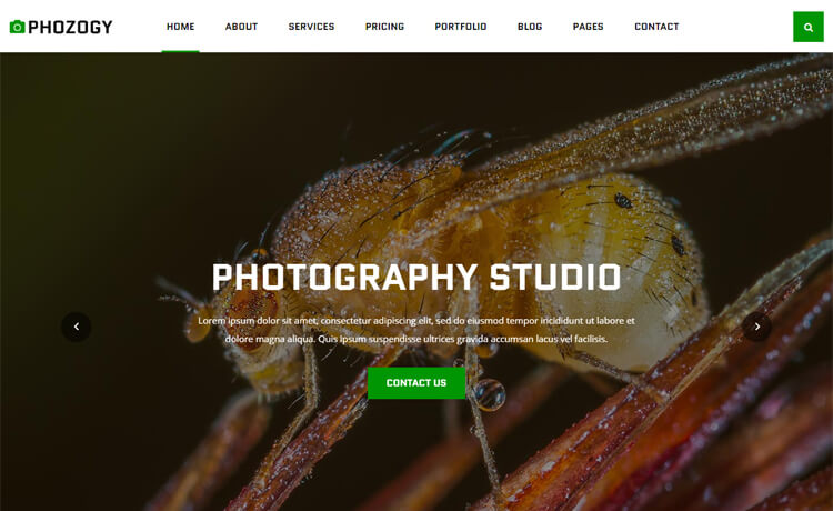 Free Bootstrap 4 HTML5 Responsive Photography Website Template