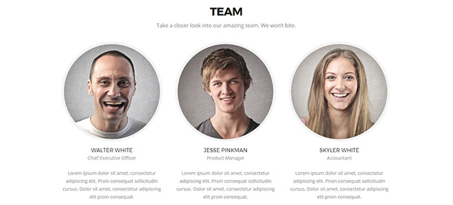 Knight-team Free One Page Multipurpose Responsive Bootstrap Template