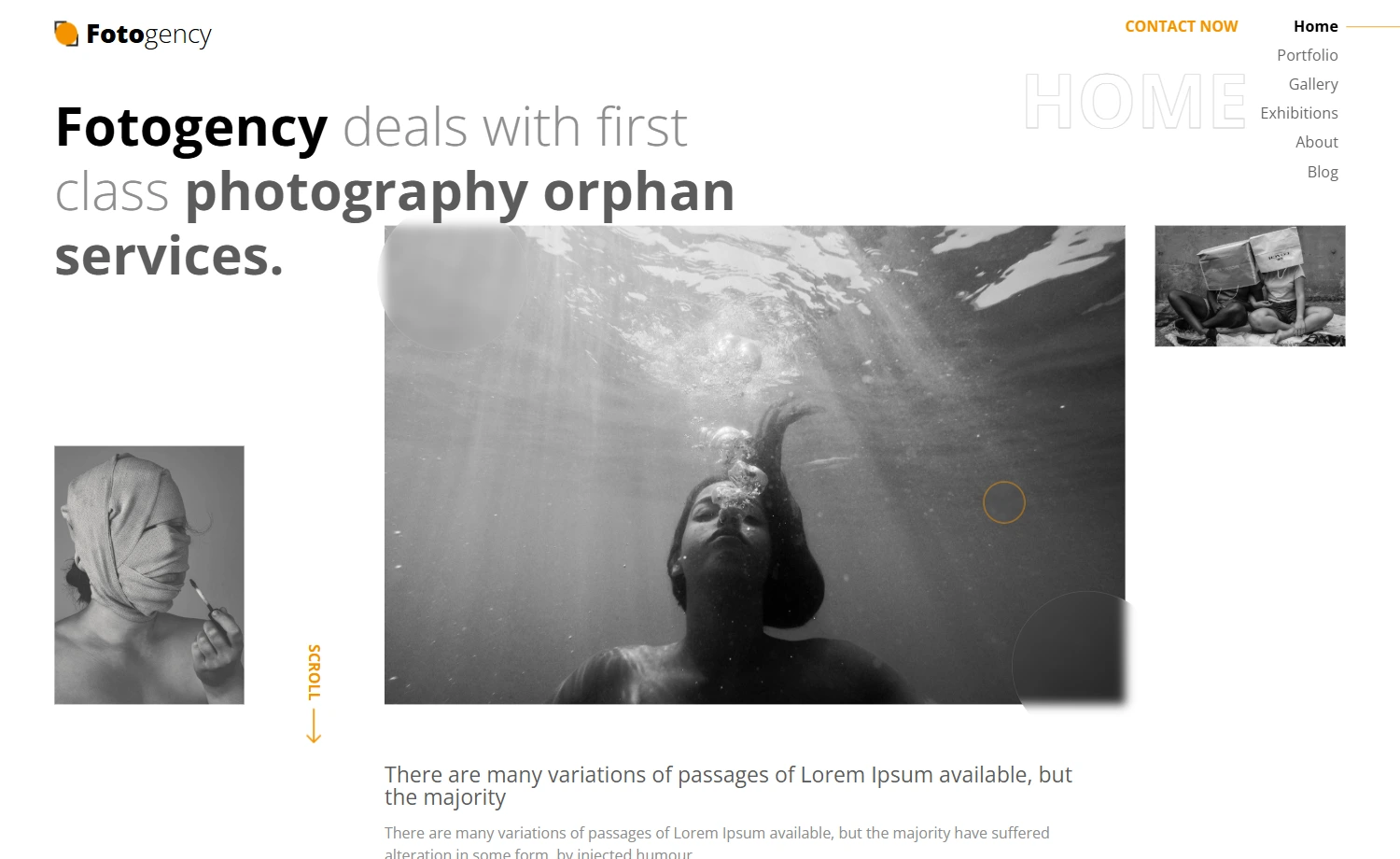 Free Bootstrap 5 HTML5 Photography Agency Website Template