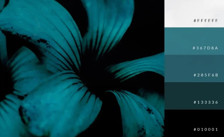 monochoromatic color palatte