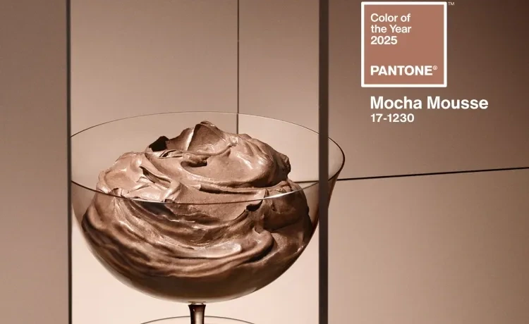 Pnatone Color of the 2025 : Mocha Mouse