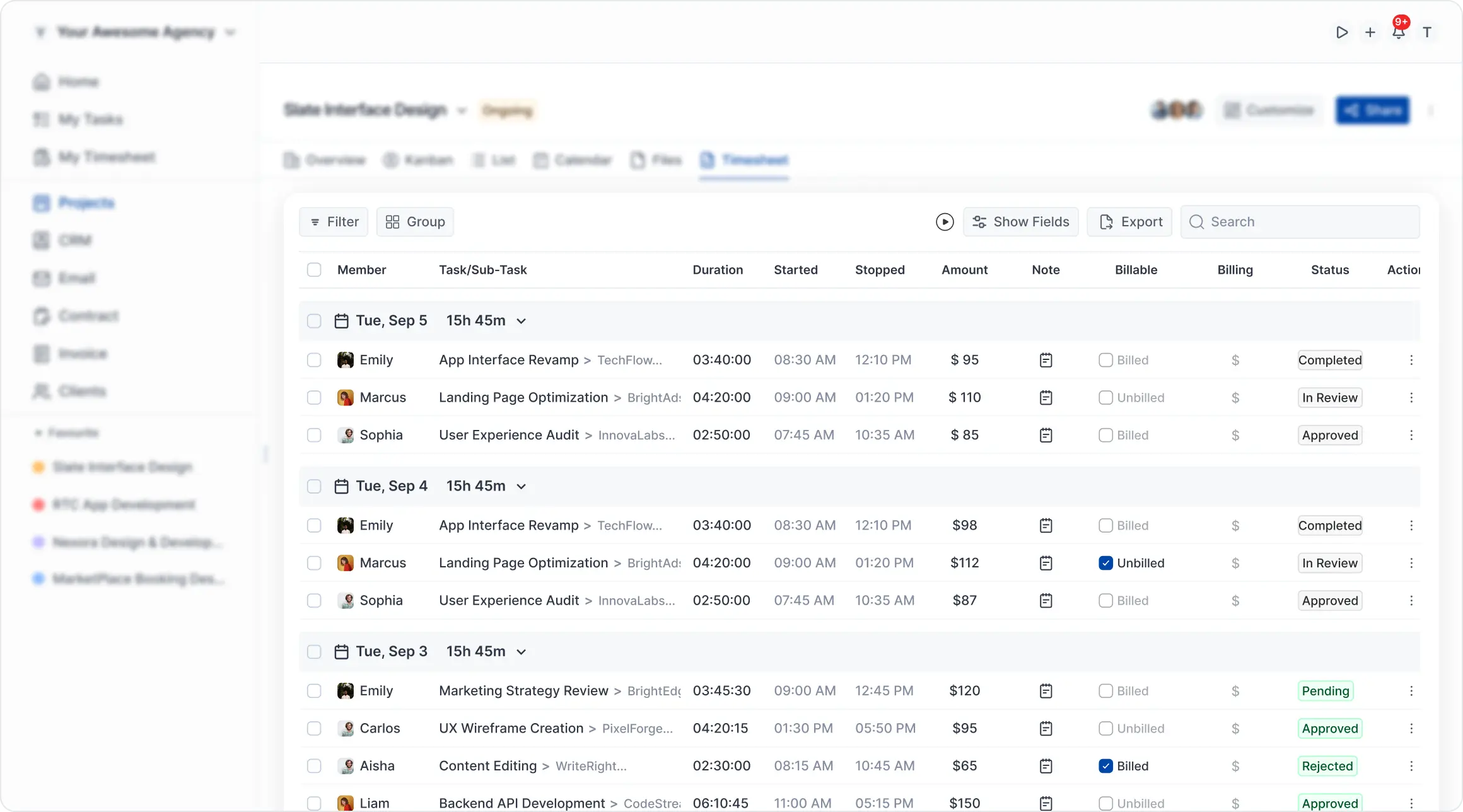 OneSuite timesheet & reporting view for sales,delivery, and billing